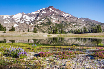 Volcanic mountain landscape with clear blue sky, morning light, reflective water, and blooming wildflowers in the foreground.