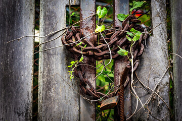 Old metal door plate rusty (detail)