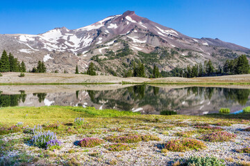 Volcanic mountain landscape with clear blue sky, morning light, reflective water, and blooming wildflowers in the foreground.