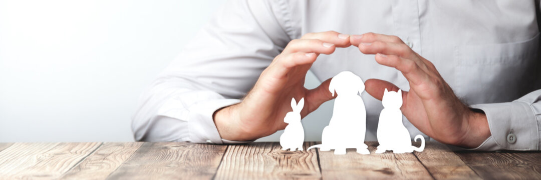 Protecting Hands Over Paper Animals On Wooden Table - Pet Care And Insurance Concept
