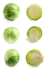Fototapeta premium Set of cut and whole Brussels sprouts on white background