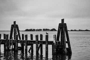 bodega bay  