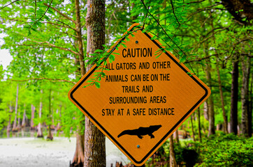The sign in the cypress swamp in Charleston South Carolina warns visitors that alligators are in the area.
