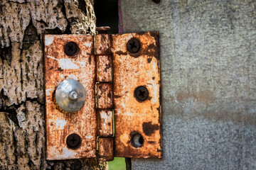 Old metal door plate rusty (detail)
