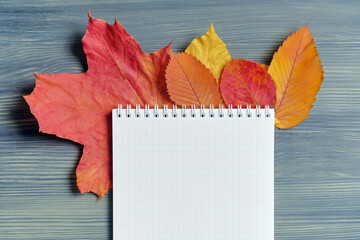 Abstract autumn concept of dried leaves with a notebook for copy space