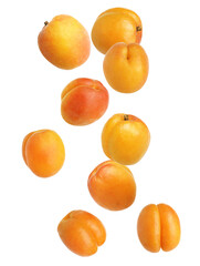 Whole ripe apricots falling on white background