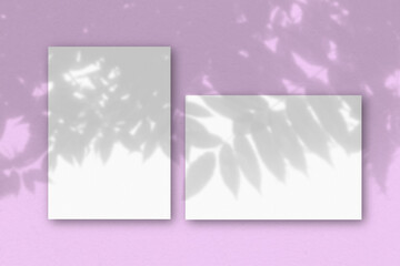 2 sheets of white textured paper against a pink wall. Mockup overlay with the plant shadows. Natural light casts shadows from an exotic plant. Flat lay, top view. Horizontal orientation