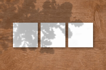 3 square sheets of white textured paper on wooden table background. Mockup overlay with the plant shadows. Natural light casts shadows from the oak leaves. Flat lay, top view