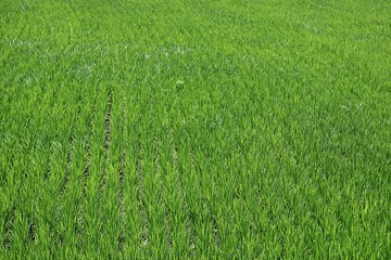 한국에서여름휴가철에고향가면서찍은사진입니다