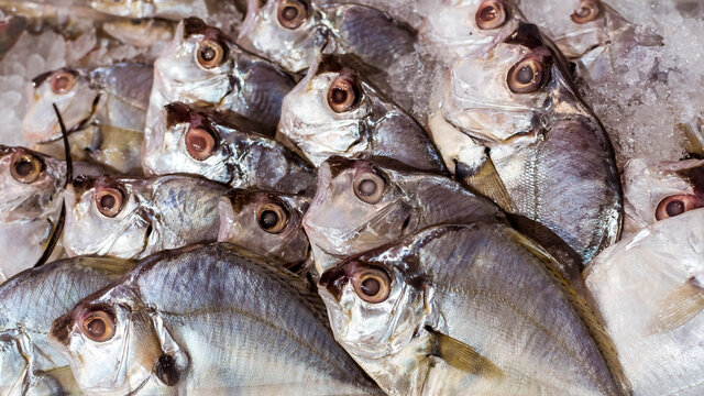 Pony fish or Sapsap on display at the fish section of the supermarket. Also known as Slipmouth. A popular fish in the Philippines.