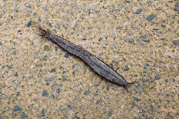 한국의여름휴가철에고향가면서찍은사진입니다