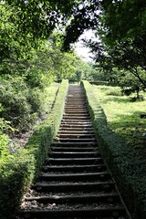 Obraz premium 한국의여름휴가철에고향가면서찍은사진입니다