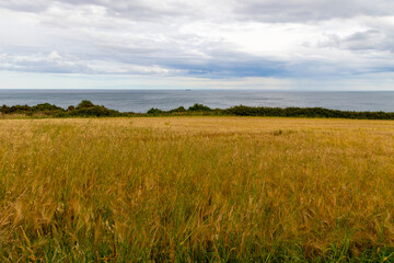 Fototapeta premium Bray Coastline, Dublin