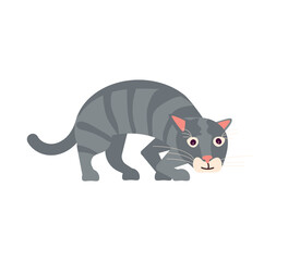 Fototapeta na wymiar Funny gray cat