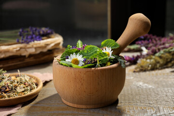 Mortar with healing herbs and pestle on wooden table