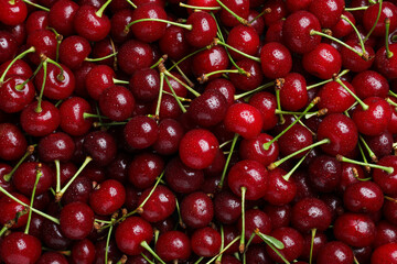 Sweet red cherries with water drops as background, closeup