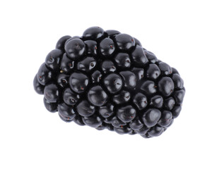 Beautiful tasty ripe blackberry on white background