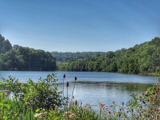 lake and trees 