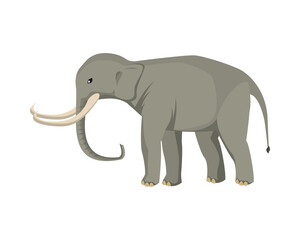 wild elephant animal nature icon