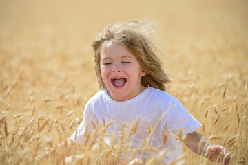Happy child on wheat field. Excited boy in the rye fields.