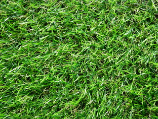 green artifical turf texture background.