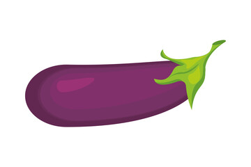 egg plant healthy vegetable isolated style icon