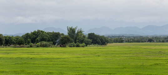 landscape with trees and blue sky