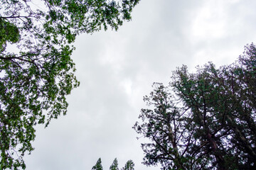 青空　イメージ