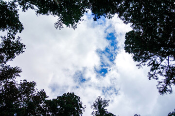 Obraz premium 青空 イメージ