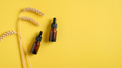 Amber glass dropper bottles with rice, wheat, barley and oat cosmetic product. Essential oils packaging design, collagen serum for beauty.