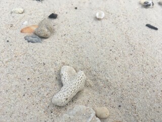 footprint on the sand
