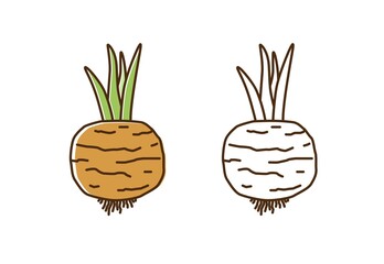 Cute colorful and monochrome turnip icon vector flat illustration. Natural organic radish with root and stem in line art style. Fresh vegetable or vegetarian healthy food isolated on white