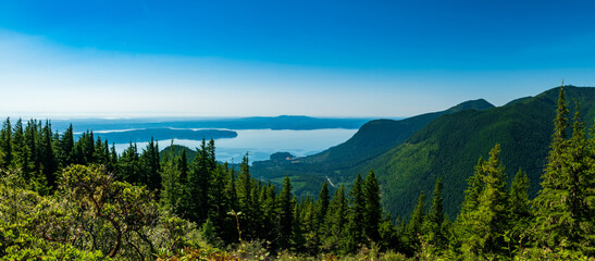 Olympic National Rain Forest