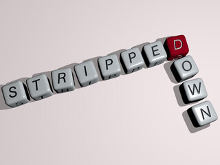 crosswords of video games: STRIPPED DOWN arranged by cubic letters on a mirror floor, concept meaning and presentation. background and illustration