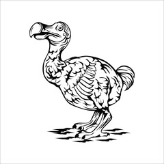 hand drawn dodo bird for illustration and image © maxwarni creative