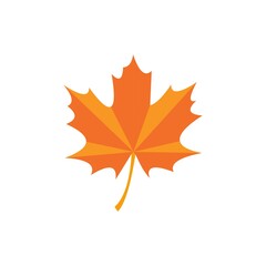 autumn, leaf, maple, fall, leaves, nature, season, yellow, orange, tree, 