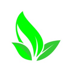 the leaves are light green and logos