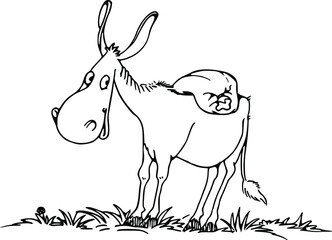 vector cartoon drawing donkey happy