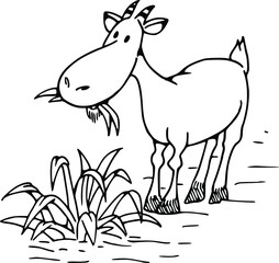 vector cartoon drawing goat eating