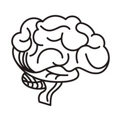 brain human organ isolated icon
