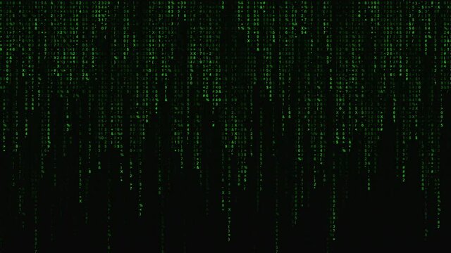 Digital binary code processing on screen background loop. Data rendering of a scientific technology data binary code. Concept of science, motion graphic, digital technology, matrix background.