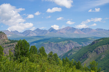 Fototapeta na wymiar Beautiful landscape of the nature of Altai mountains in Russia