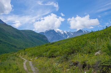 Fototapeta na wymiar Beautiful landscape of the nature of Altai mountains in Russia