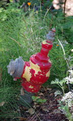 Close high angle view of a small old fire hydrant in a landscape area