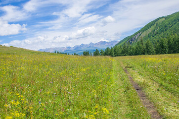 The trail goes to the Altai Mountains in Russia landscape
