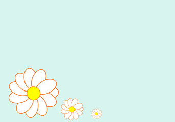 cute three white flower on blue background . empty copy space for place texts