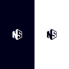 Letter N and S hexagon concept or negative space logo vector