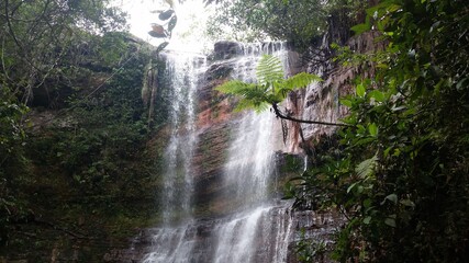 waterfall in the forest