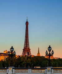 Fototapeta na wymiar The Eiffel Tower seen from the Pont Alexandre III bridge