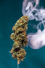 planta cogollo de marihuana cannabis exterior verde macro close up hoja con tricomas con humo